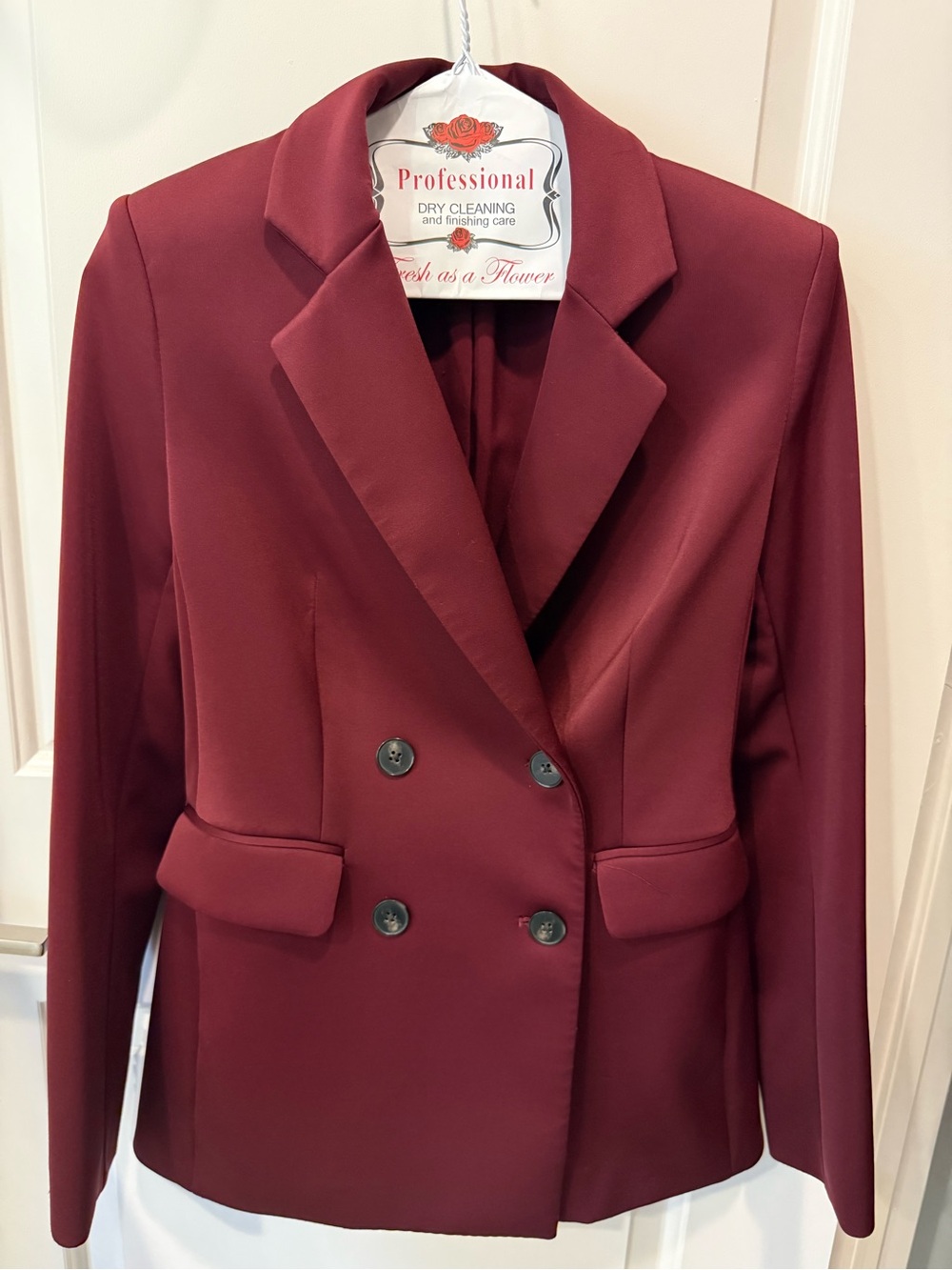 Express Double-Breasted Blazer in Wine
